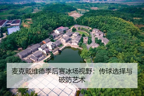mai-ke-dai-wei-de-ji-hou-sai-bing-chang-shi-ye-chuan-qiu-xuan-ze-yu-po-fang-yi-shu-2-210.jpg