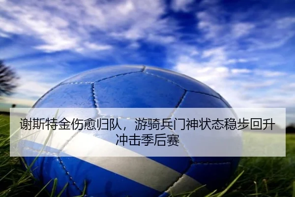 谢斯特金伤愈归队，游骑兵门神状态稳步回升冲击季后赛